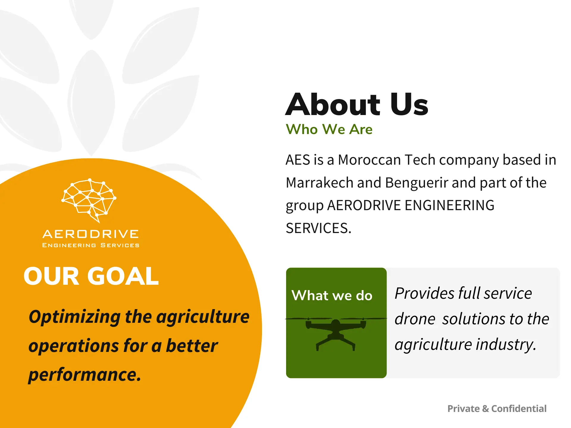 agri-drone-businesscase3